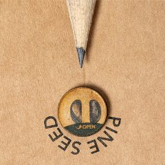 Lápis em madeira com cápsula de sementes de pinheiro Etesio – foto 5