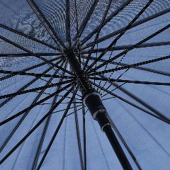 Guarda-chuva automático com 16 painéis Raynfall – foto 5