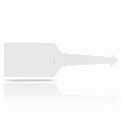 Etiqueta de bagagem em PVC com face transparente Wandry – foto 3