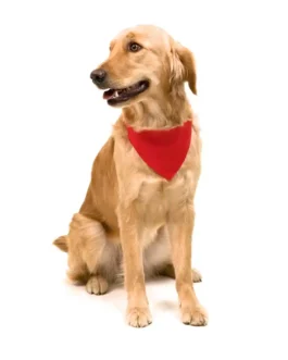 Colar Bandana em poliéster resistente